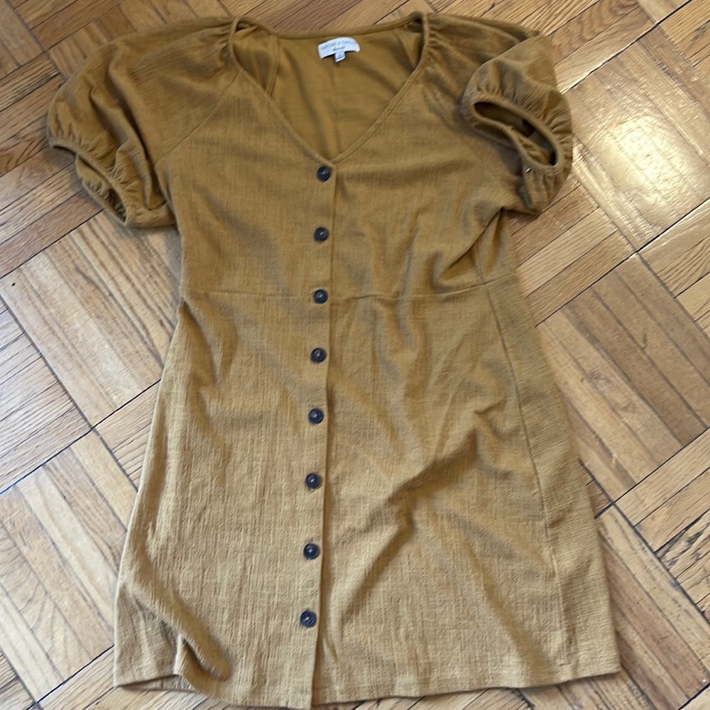 Madewell button down dress